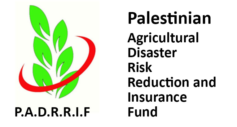 PADRRIF